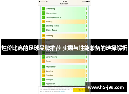 性价比高的足球品牌推荐 实惠与性能兼备的选择解析