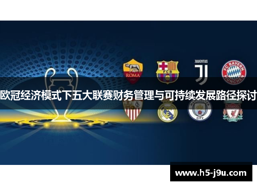 欧冠经济模式下五大联赛财务管理与可持续发展路径探讨