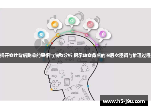 揭开案件背后隐藏的真相与细致分析 揭示破案背后的深层次逻辑与推理过程