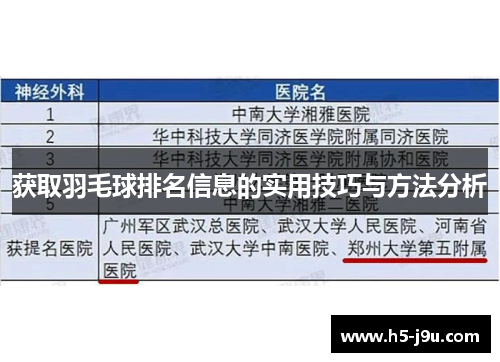 获取羽毛球排名信息的实用技巧与方法分析