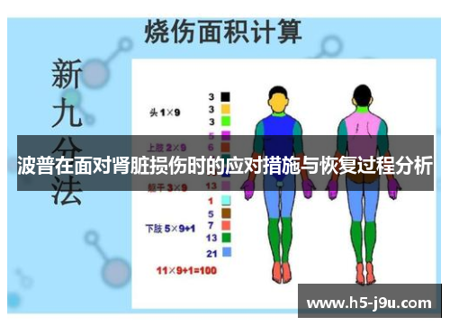 波普在面对肾脏损伤时的应对措施与恢复过程分析
