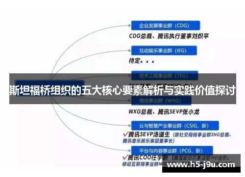 斯坦福桥组织的五大核心要素解析与实践价值探讨
