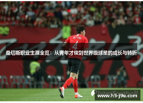 桑切斯职业生涯全览：从青年才俊到世界级球星的成长与转折