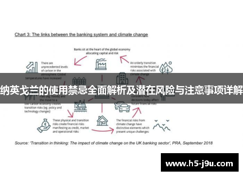 纳英戈兰的使用禁忌全面解析及潜在风险与注意事项详解